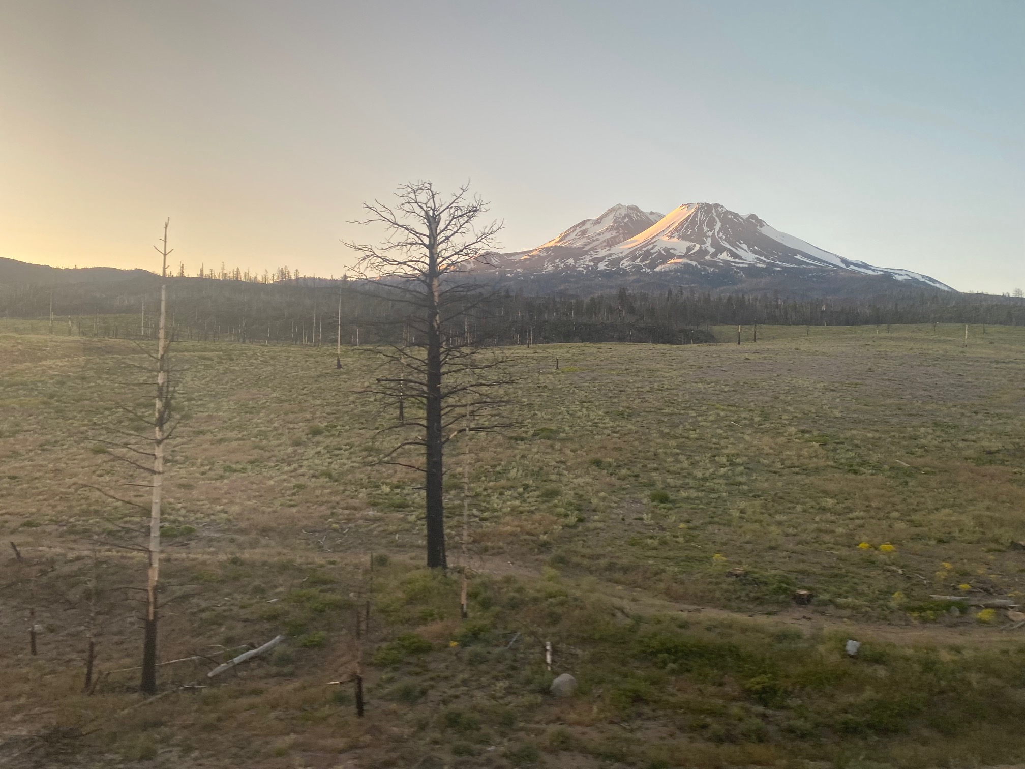image0.jpeg